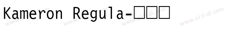 Kameron Regula字体转换